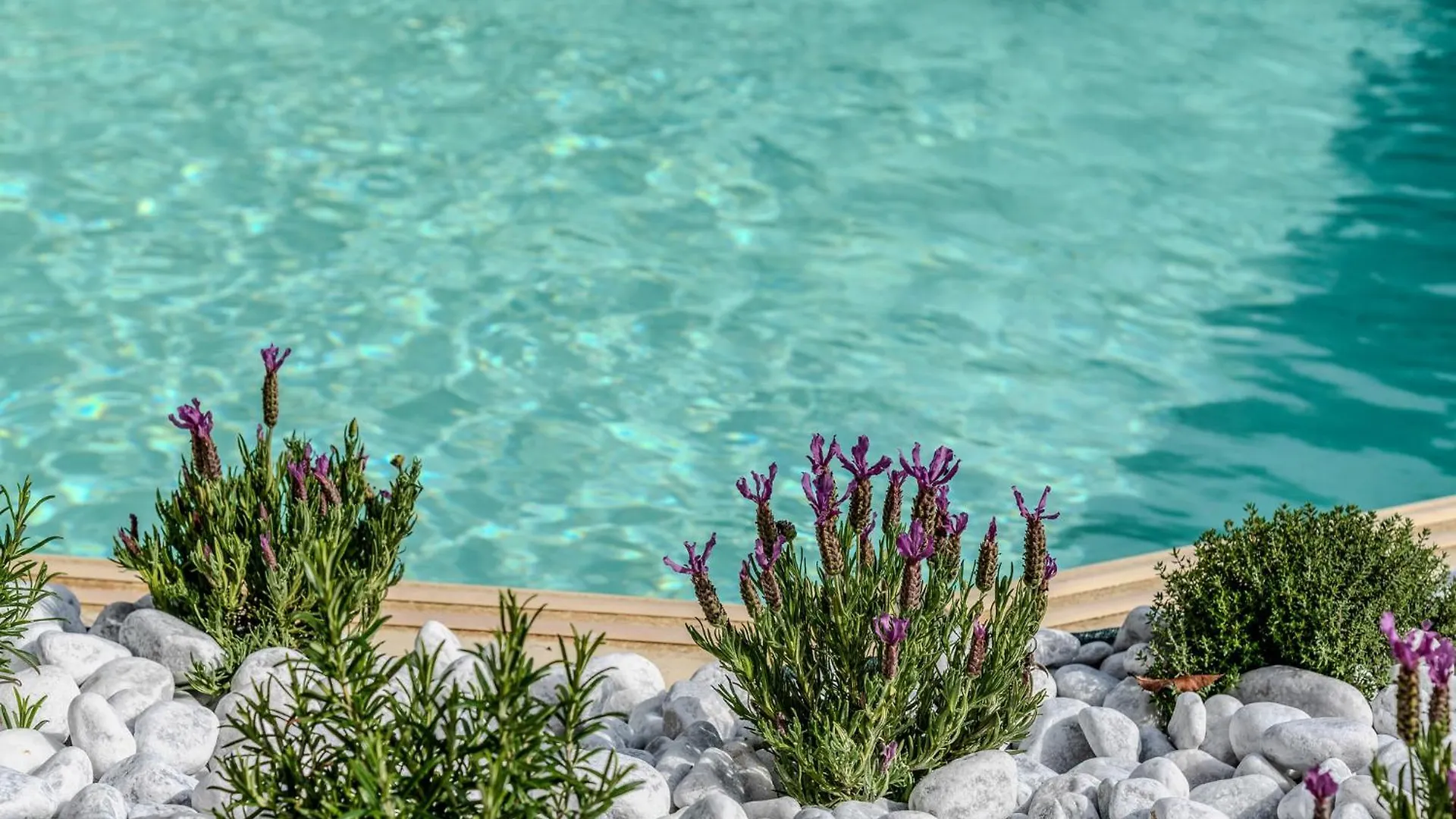 Amis Home Castelnuovo D'elsa 0*,  إيطاليا